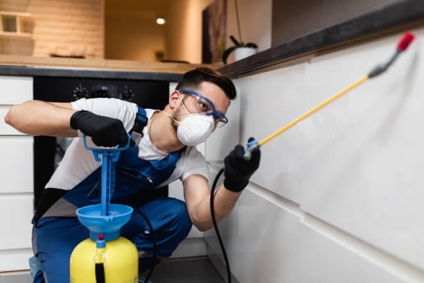 Reliable Dresden, TN Pest Control Solutions