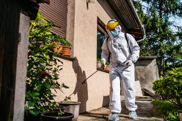 Best Affordable Pest Control Services  in Dresden, TN