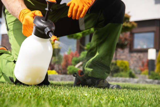 Best Wasp Removal Services  in Dresden, TN