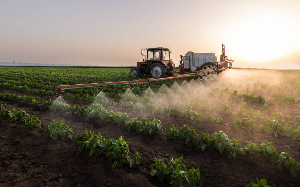 Best Commercial Pest Control Services  in Dresden, TN