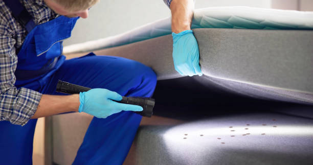 Best Emergency Pest Control  in Dresden, TN