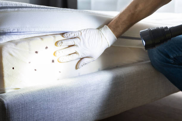 Best Pest Control Near Me in Dresden, TN