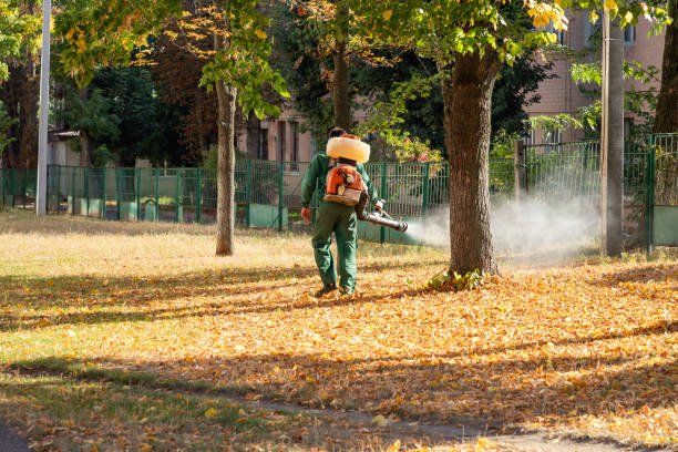 Flea Control Services in Dresden, TN
