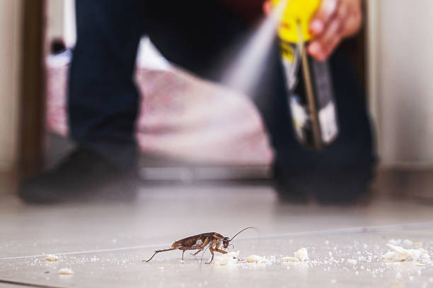Pest Control Cost in Dresden, TN