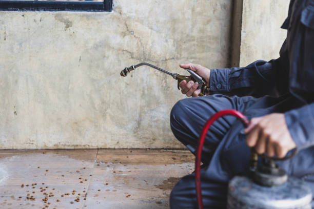 Best Exterminator Services  in Dresden, TN