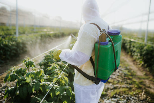 Best Flea Control Services  in Dresden, TN
